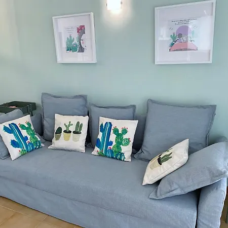 Torres Del Castillo, 108cactus