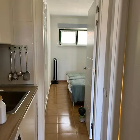 Torres Del Castillo, 108cactus