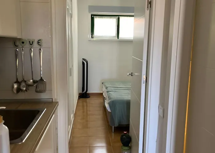 Torres Del Castillo, 108cactus